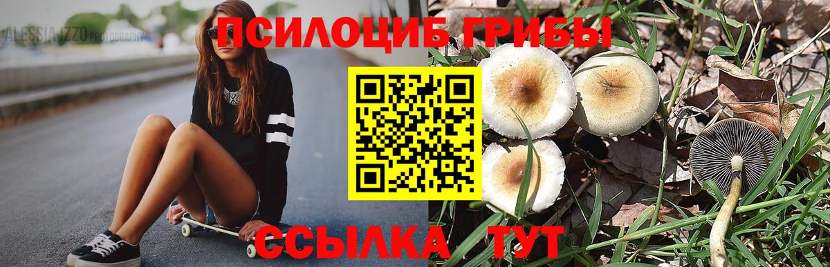 Каннабис Барнаул